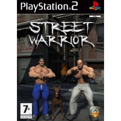 PS2 Street Warrior (used)