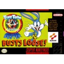 Tiny Toon Adventures Buster Busts Loose Super Nintendo (used cartrige only)